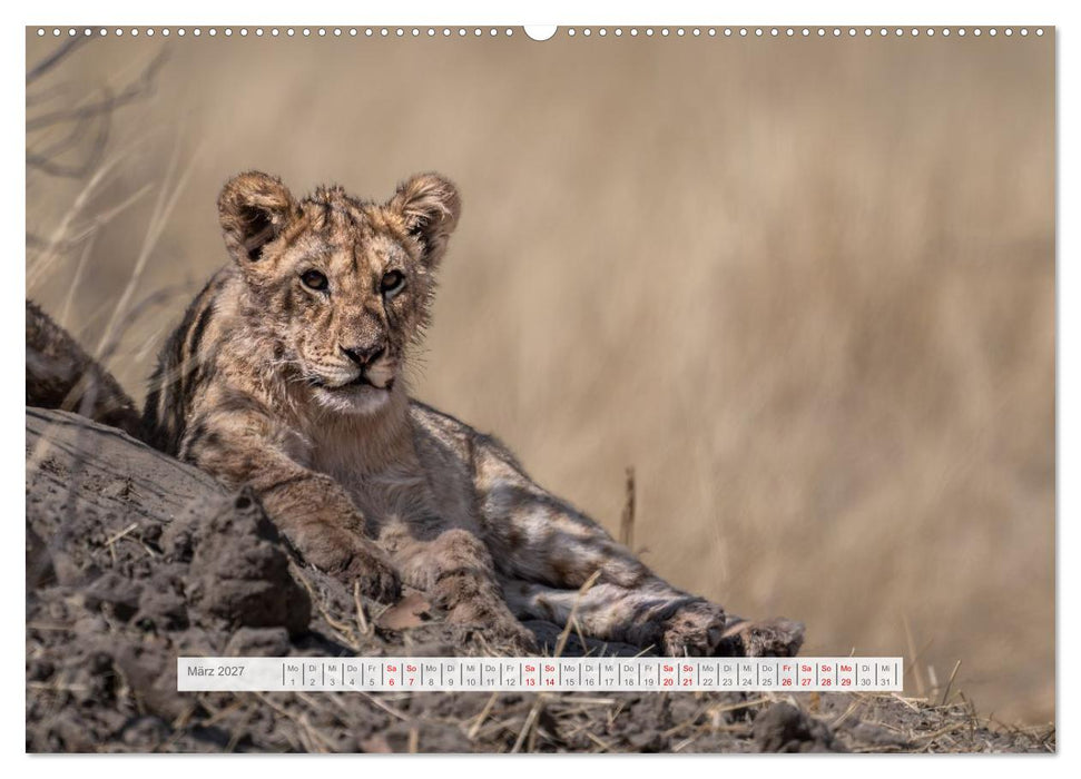 Namibia – Farben des Lebens (CALVENDO Wandkalender 2027)
