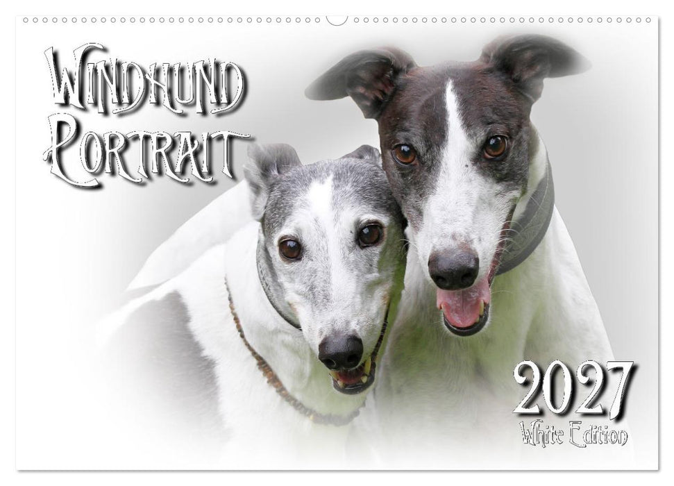 Windhund Portrait 2027 White Edition (CALVENDO Wandkalender 2027)