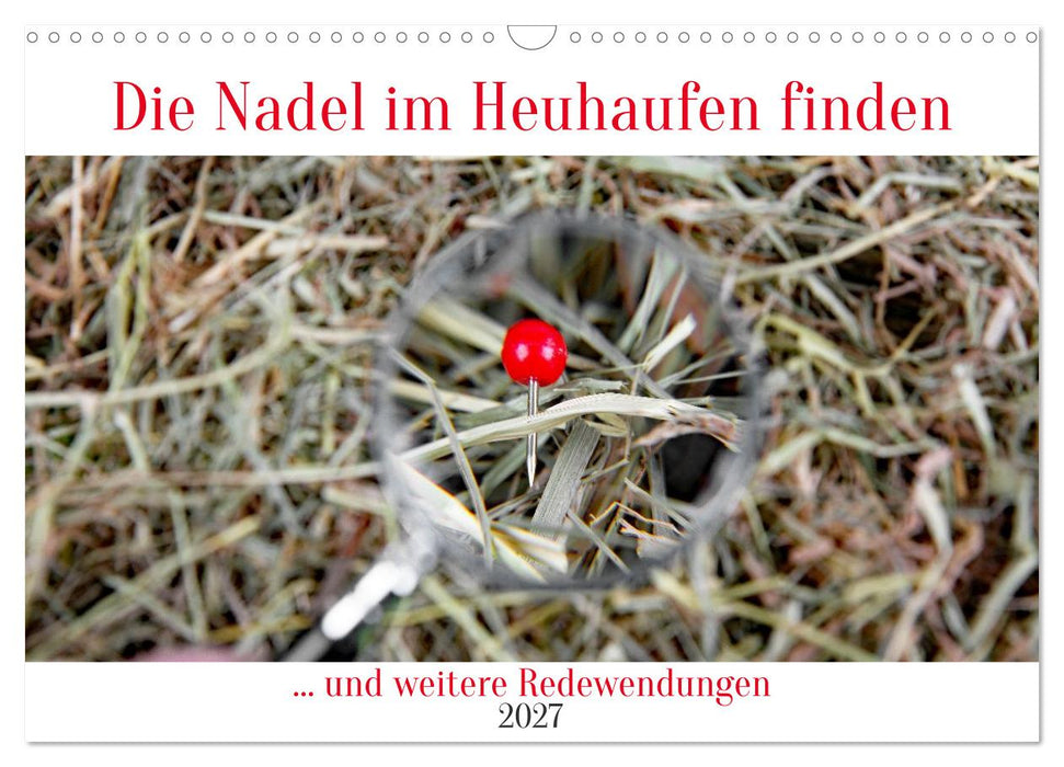 Die Nadel im Heuhaufen finden (CALVENDO Wandkalender 2027)