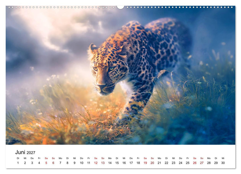 Gefleckte Schatten - Im Bann der Leoparden (CALVENDO Premium Wandkalender 2027)
