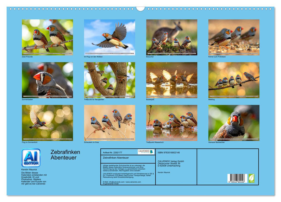 Zebrafinken Abenteuer (CALVENDO Wandkalender 2027)