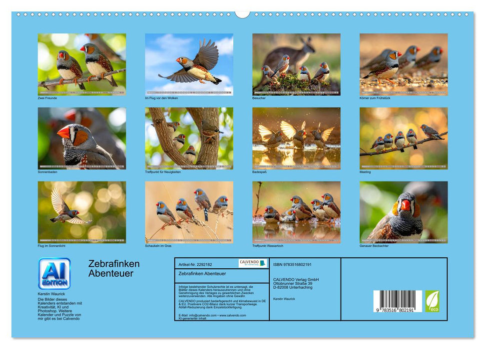 Zebrafinken Abenteuer (CALVENDO Premium Wandkalender 2027)
