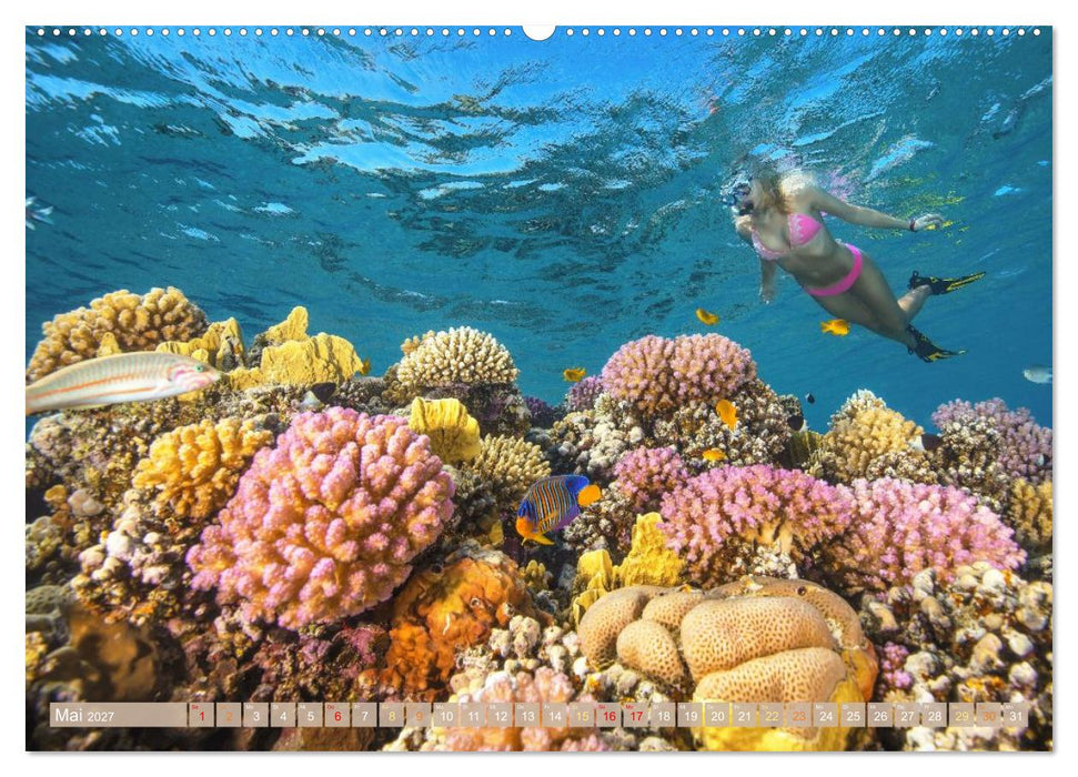 Reif für die Insel: Fernweh & Traumziele (CALVENDO Premium Wandkalender 2027)