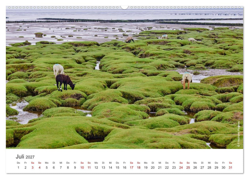 Halbinsel Eiderstedt - Momente der Natur (CALVENDO Premium Wandkalender 2027)