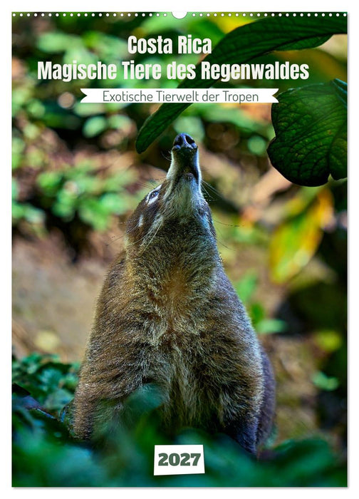 Costa Rica - Magische Tiere des Regenwaldes (CALVENDO Wandkalender 2027)