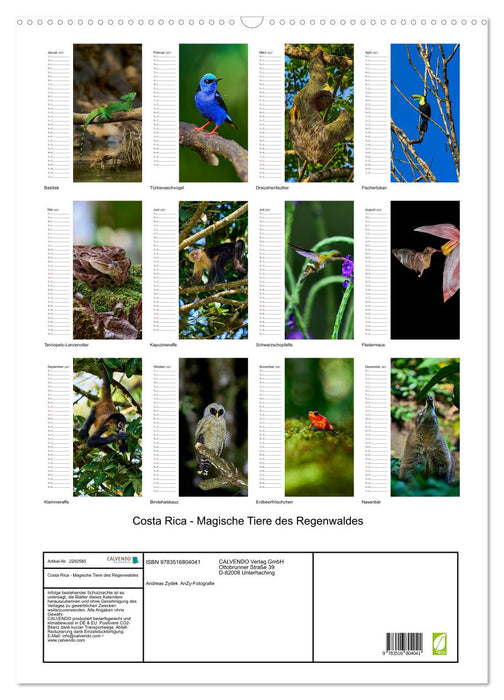 Costa Rica - Magische Tiere des Regenwaldes (CALVENDO Wandkalender 2027)