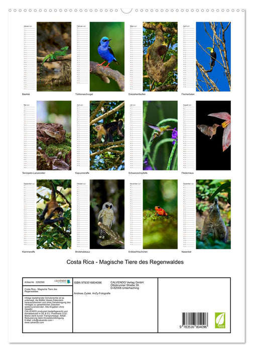 Costa Rica - Magische Tiere des Regenwaldes (CALVENDO Premium Wandkalender 2027)