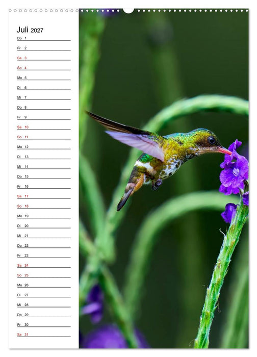 Costa Rica - Magische Tiere des Regenwaldes (CALVENDO Premium Wandkalender 2027)
