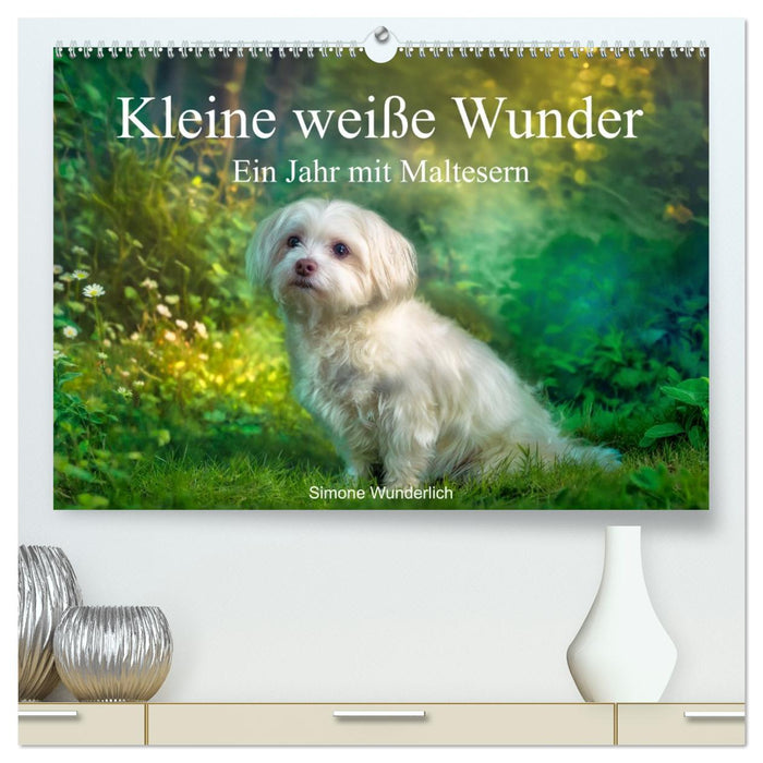 Kleine weiße Wunder - ein Jahr mit Maltesern (CALVENDO Premium Wandkalender 2027)
