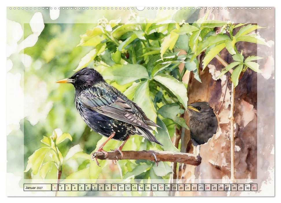 Zauberhaftes Nestgeflüster (CALVENDO Wandkalender 2027)