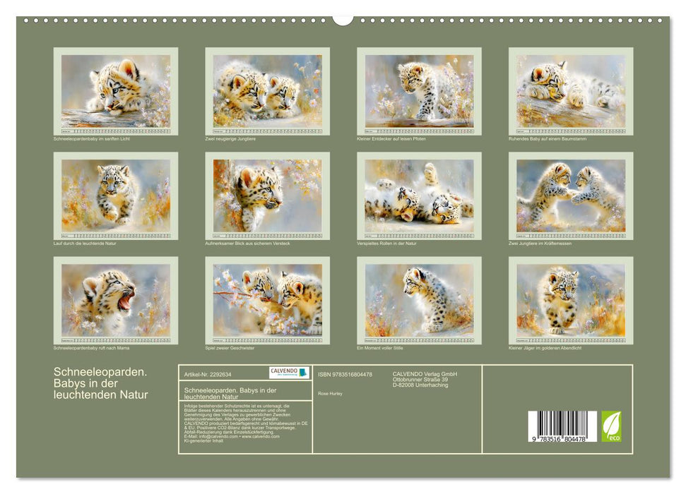 Schneeleoparden. Babys in der leuchtenden Natur (CALVENDO Premium Wandkalender 2027)