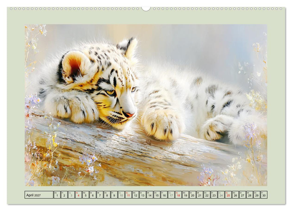 Schneeleoparden. Babys in der leuchtenden Natur (CALVENDO Premium Wandkalender 2027)