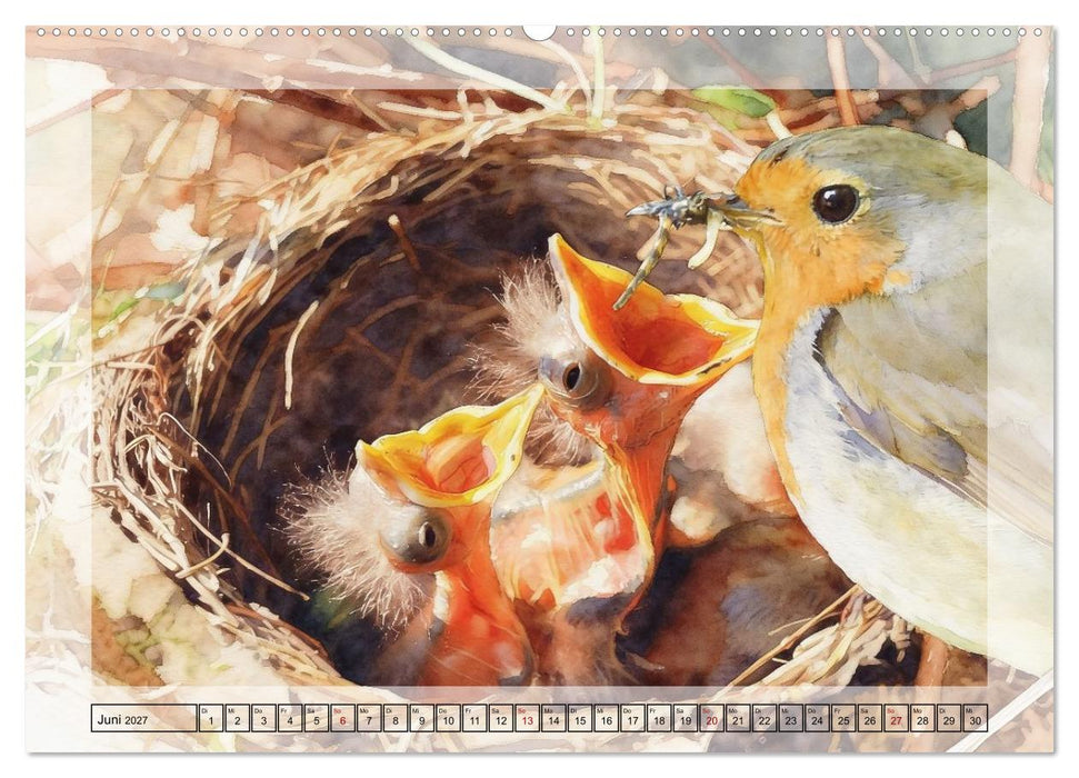 Zauberhaftes Nestgeflüster (CALVENDO Premium Wandkalender 2027)