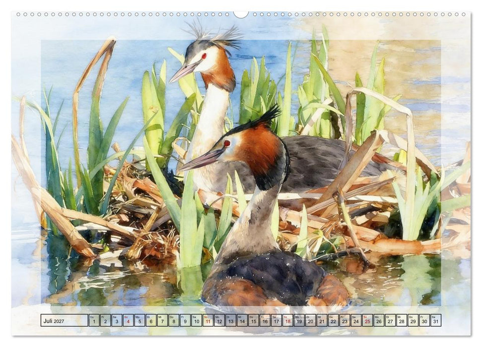 Zauberhaftes Nestgeflüster (CALVENDO Premium Wandkalender 2027)