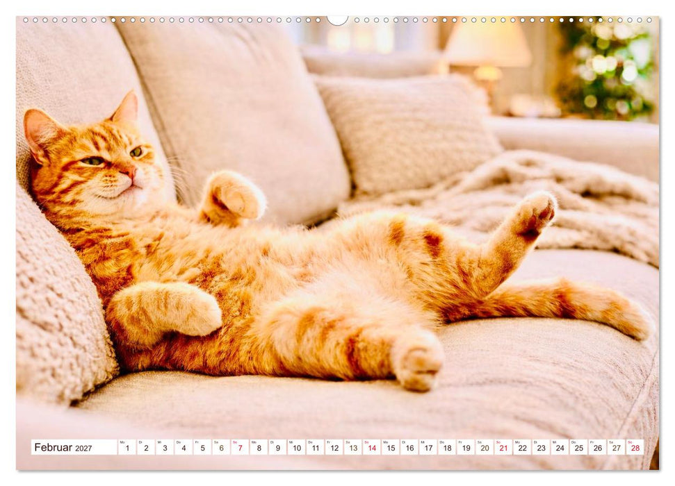 Rote Katzen (CALVENDO Premium Wandkalender 2027)