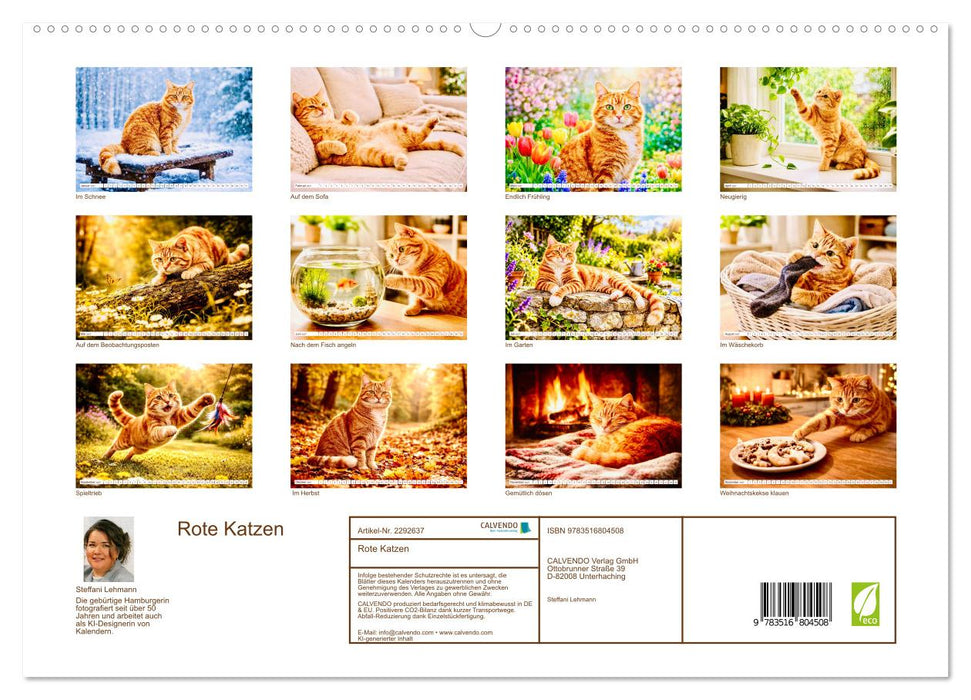 Rote Katzen (CALVENDO Premium Wandkalender 2027)