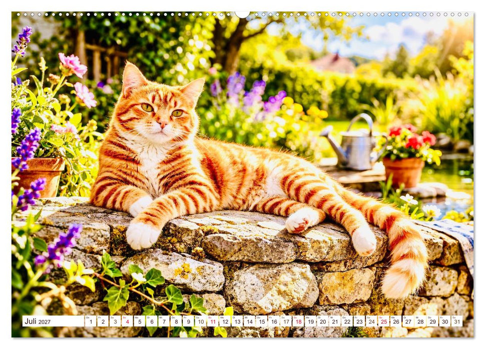 Rote Katzen (CALVENDO Premium Wandkalender 2027)