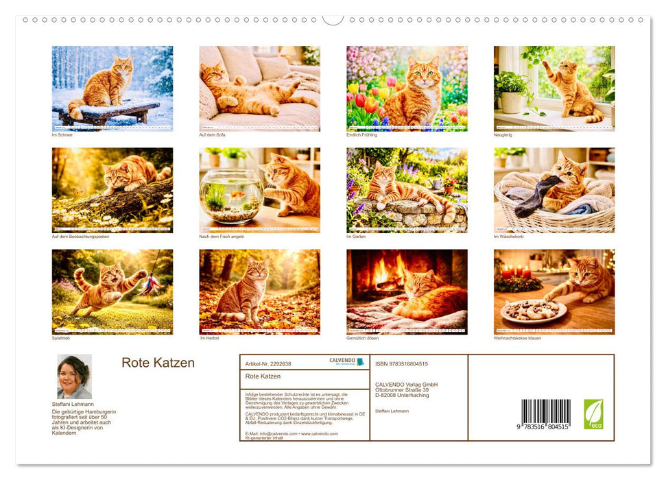 Rote Katzen (CALVENDO Premium Wandkalender 2027)