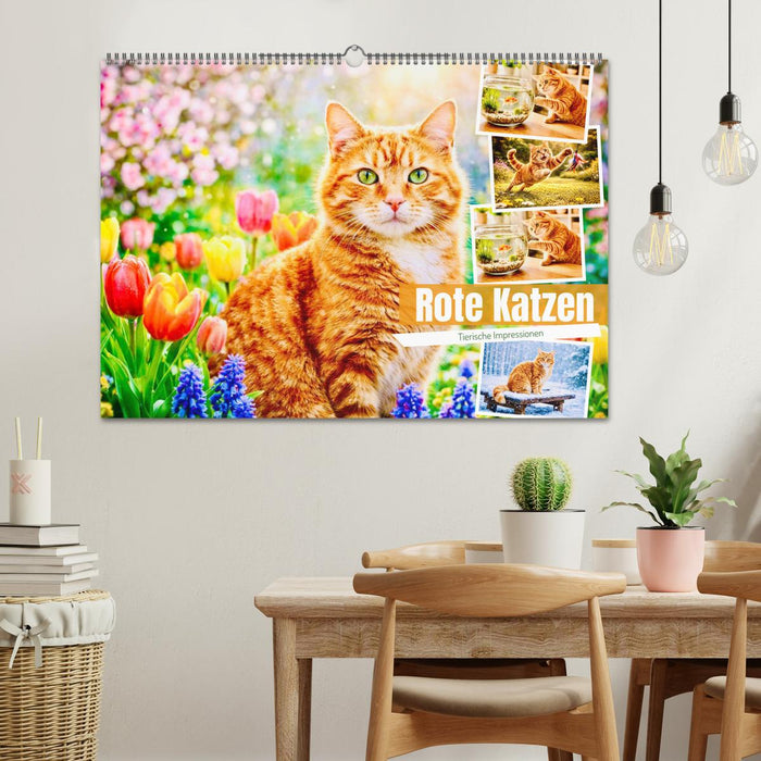 Rote Katzen (CALVENDO Wandkalender 2027)