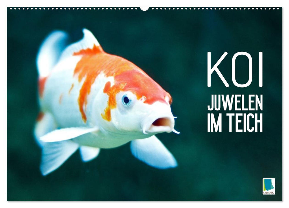 Koi: Juwelen im Teich (CALVENDO Wandkalender 2027)