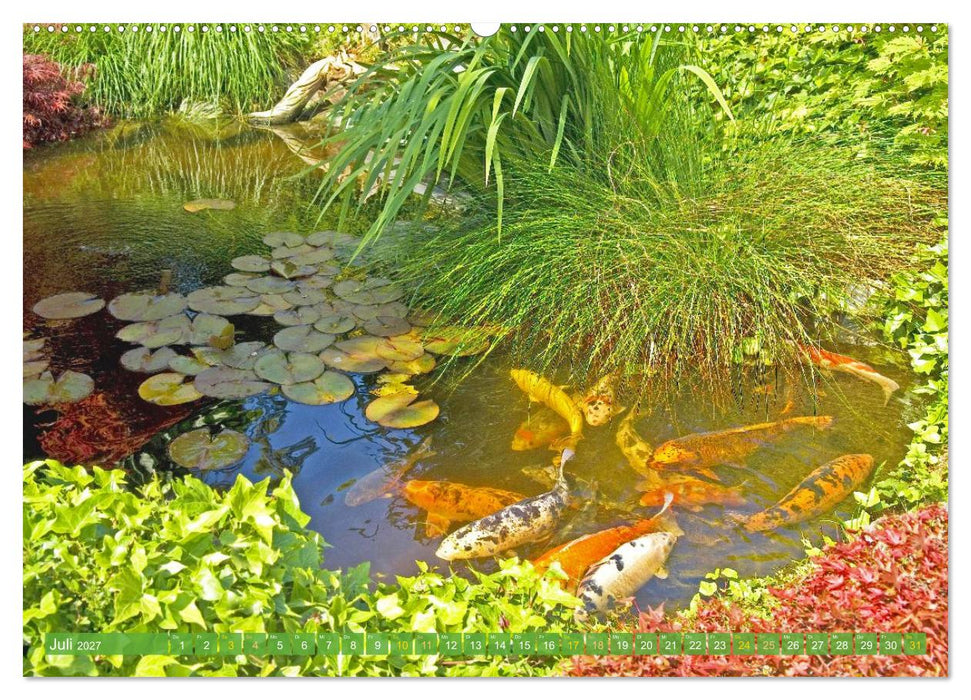 Koi: Juwelen im Teich (CALVENDO Premium Wandkalender 2027)