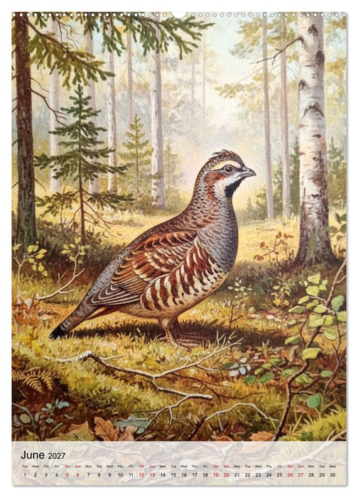 Birds of Europe in Old Paintings (CALVENDO Monthly Calendar 2027)