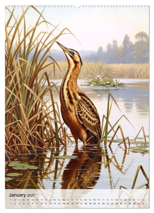 Birds of Europe in Old Paintings (CALVENDO Premium-Calendar 2027)