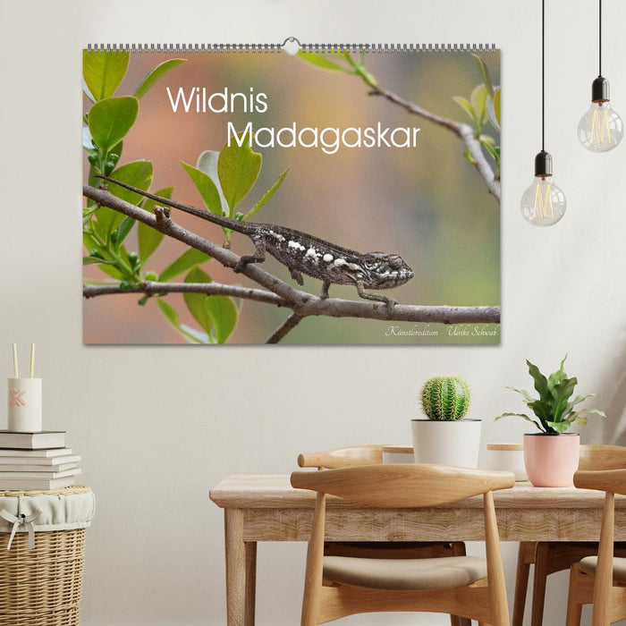 Wildnis Madagaskar (CALVENDO Wandkalender 2027)