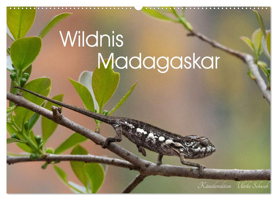 Wildnis Madagaskar (CALVENDO Wandkalender 2027)