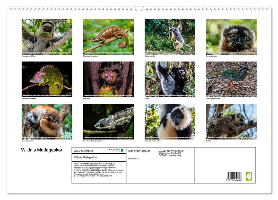 Wildnis Madagaskar (CALVENDO Wandkalender 2027)