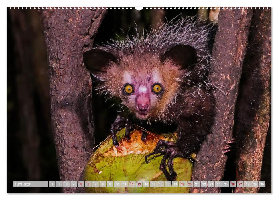 Wildnis Madagaskar (CALVENDO Wandkalender 2027)