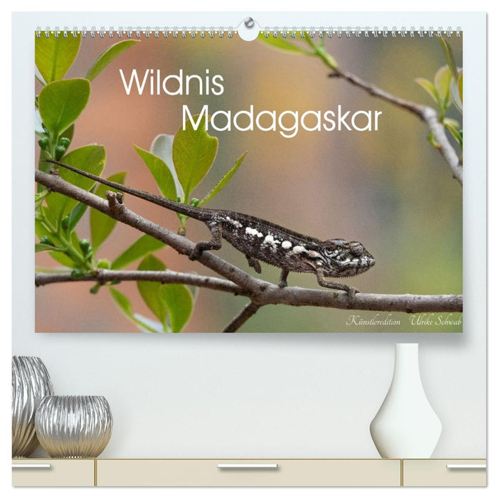 Wildnis Madagaskar (CALVENDO Premium Wandkalender 2027)