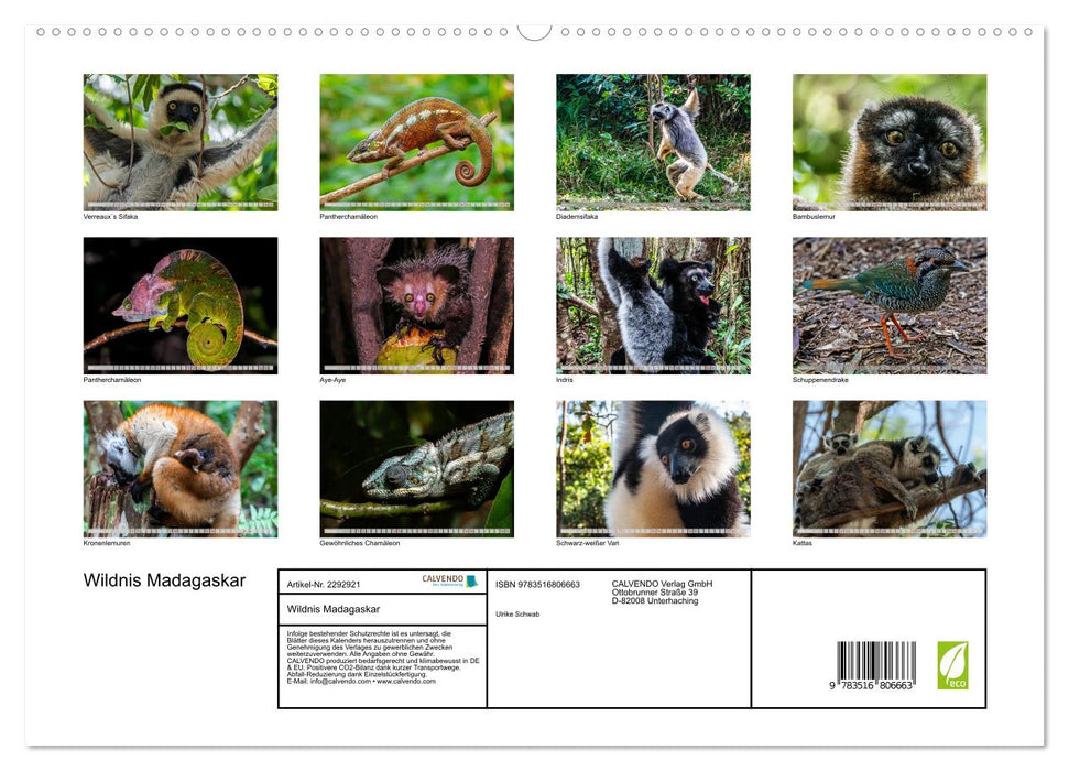 Wildnis Madagaskar (CALVENDO Premium Wandkalender 2027)