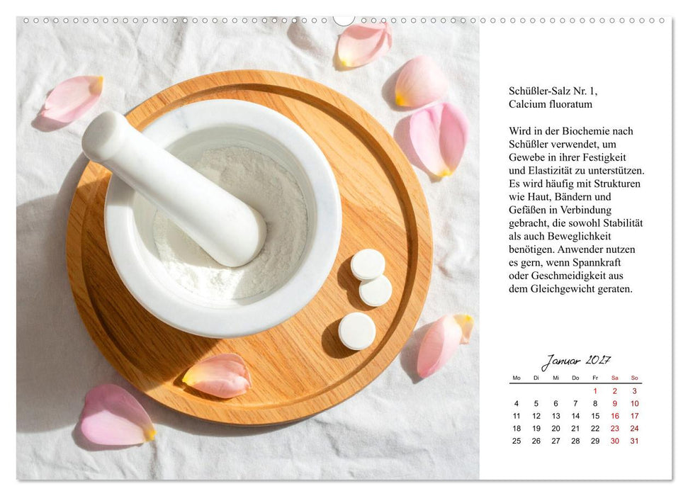 Die Kraft der Mineralbalance (CALVENDO Premium Wandkalender 2027)