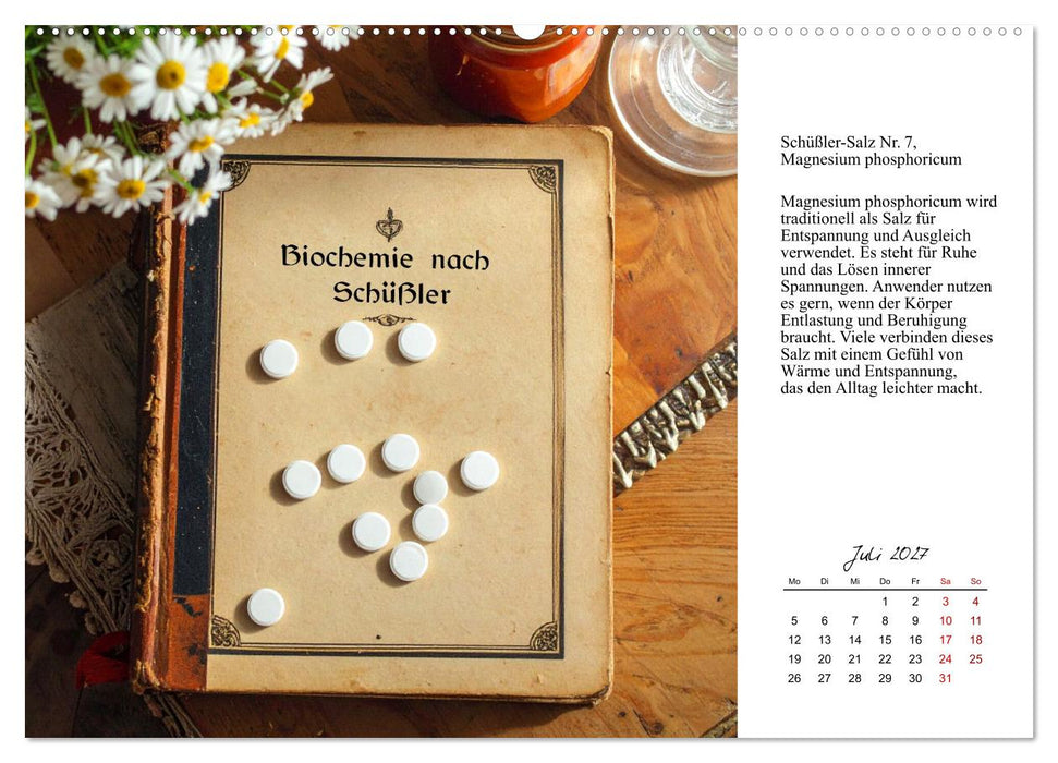 Die Kraft der Mineralbalance (CALVENDO Premium Wandkalender 2027)