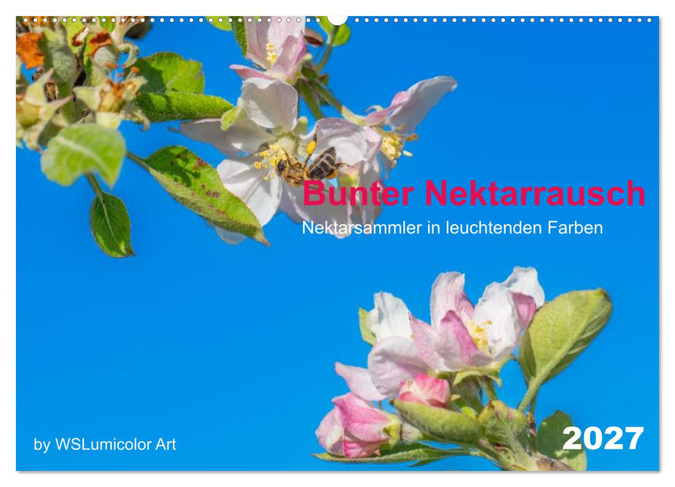 Bunter Nektarrausch - Nektarsammler in leuchtenden Farben (CALVENDO Wandkalender 2027)