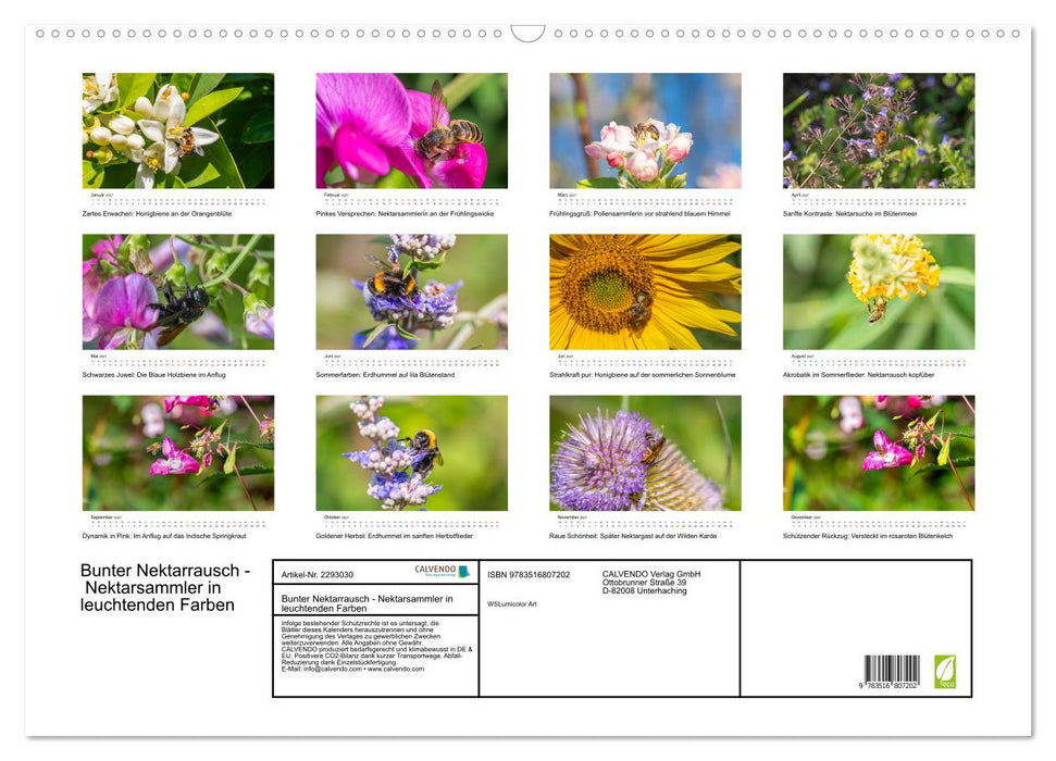 Bunter Nektarrausch - Nektarsammler in leuchtenden Farben (CALVENDO Wandkalender 2027)