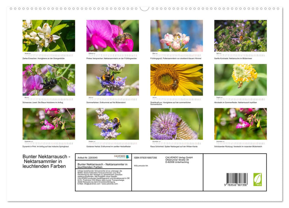 Bunter Nektarrausch - Nektarsammler in leuchtenden Farben (CALVENDO Premium Wandkalender 2027)
