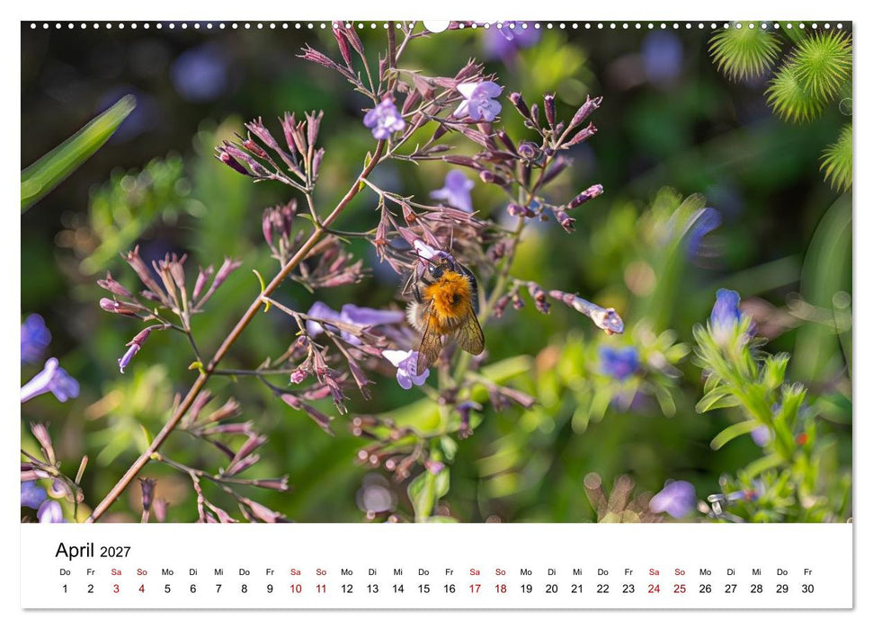 Bunter Nektarrausch - Nektarsammler in leuchtenden Farben (CALVENDO Premium Wandkalender 2027)