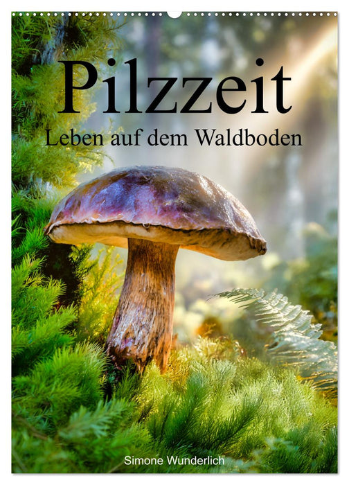 Pilzzeit - Leben auf dem Waldboden (CALVENDO Wandkalender 2027)