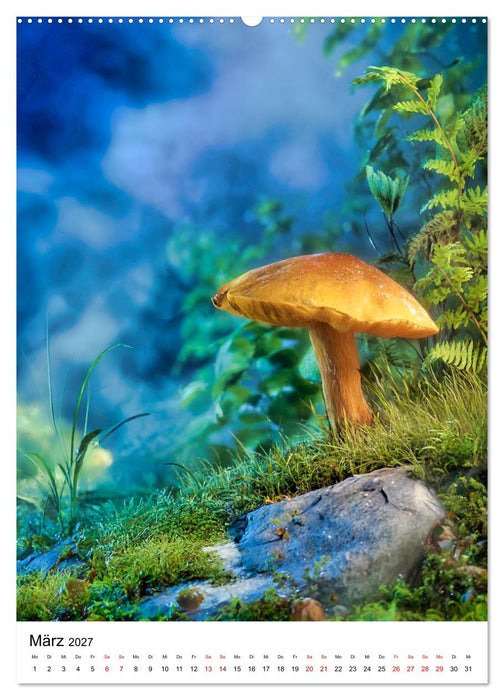 Pilzzeit - Leben auf dem Waldboden (CALVENDO Wandkalender 2027)