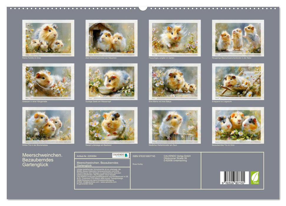 Meerschweinchen. Bezauberndes Gartenglück (CALVENDO Premium Wandkalender 2027)