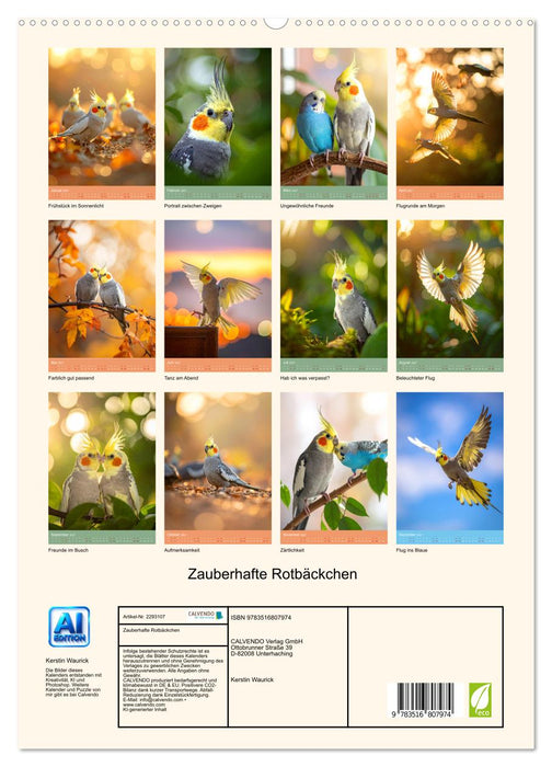 Zauberhafte Rotbäckchen (CALVENDO Premium Wandkalender 2027)