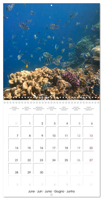 Africa - Egypt (CALVENDO Monthly Calendar 2027)