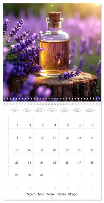 Essential Fragrances (CALVENDO Monthly Calendar 2027)