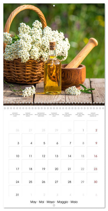 Essential Fragrances (CALVENDO Monthly Calendar 2027)
