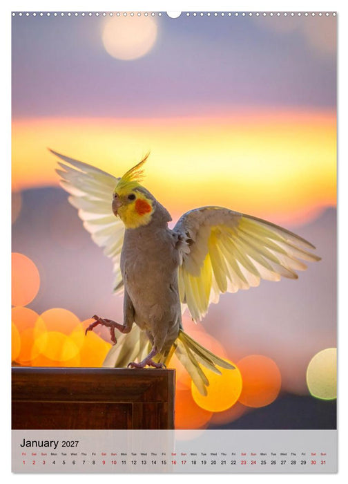 Cockatiel Dreams (CALVENDO Premium-Calendar 2027)