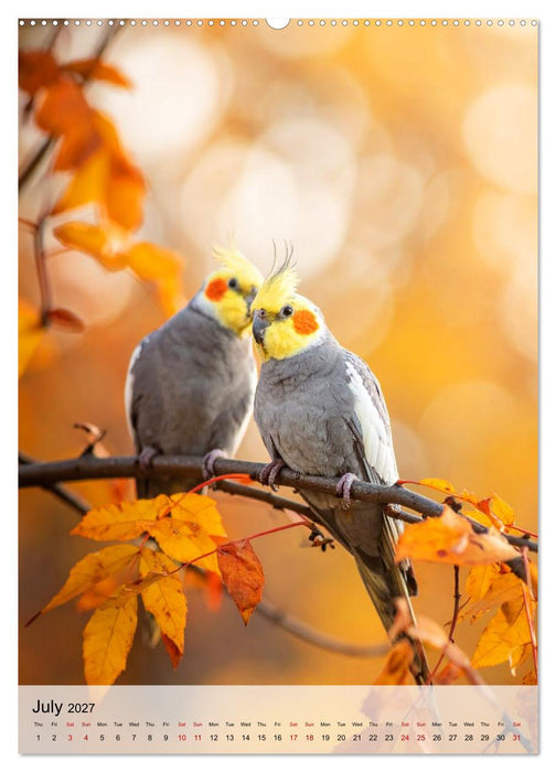 Cockatiel Dreams (CALVENDO Premium-Calendar 2027)