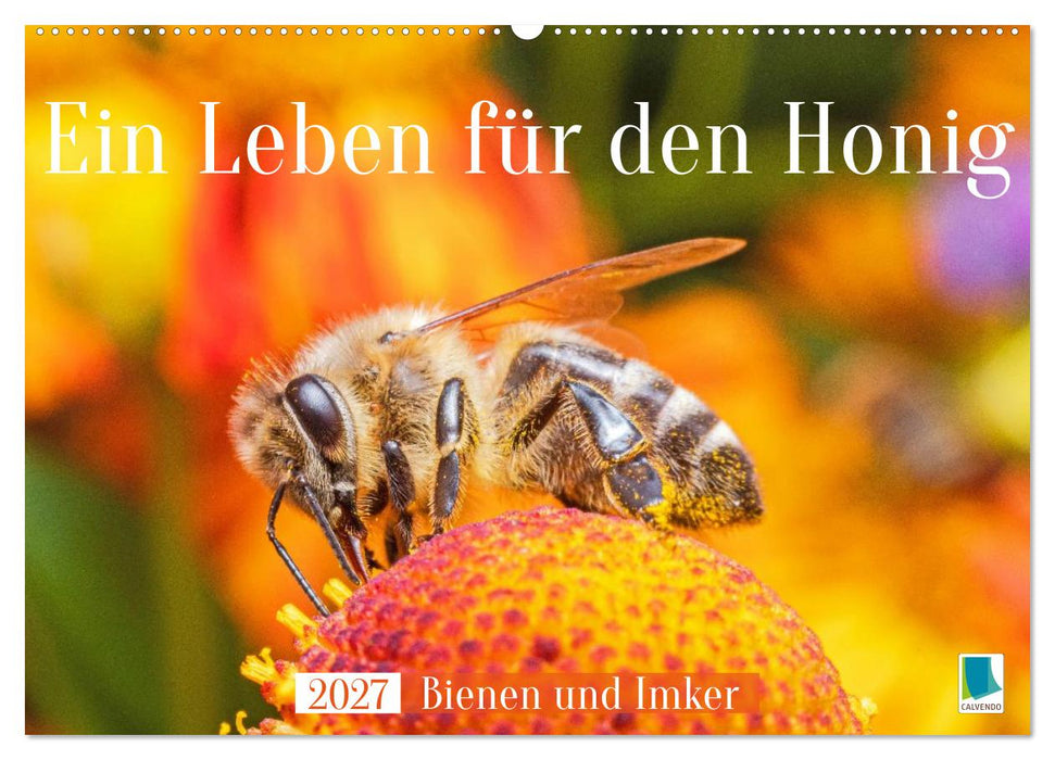 Ein Leben für den Honig: Bienen und Imker (CALVENDO Wandkalender 2027)
