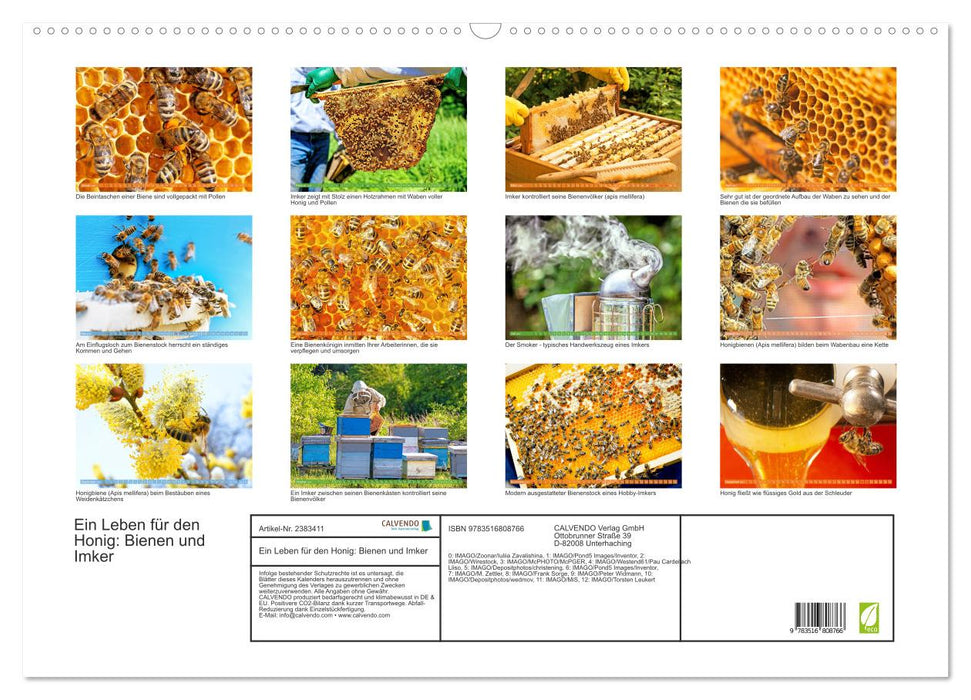 Ein Leben für den Honig: Bienen und Imker (CALVENDO Wandkalender 2027)